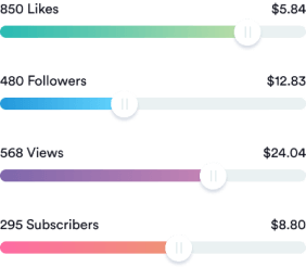 how-viewpals-works