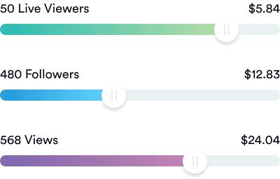 how-viewpals-works